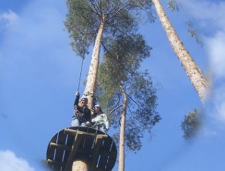 parcours aventure en hauteur